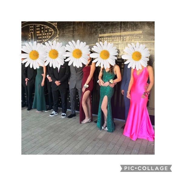 Alyce Paris Prom Dress - Picture 6 of 6